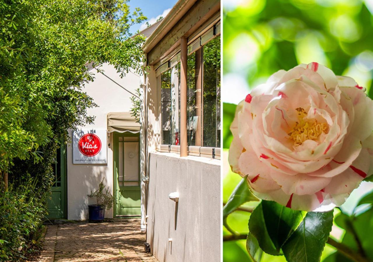 Via's Guesthouse Greyton Extérieur photo
